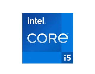 Intel Core i5-13400 10-Core 16-Thread LGA1700 13th Gen Processor