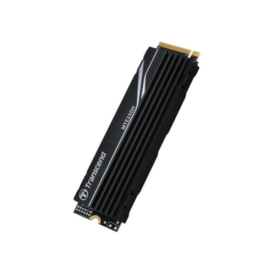 Transcend 250H 1TB M.2 2280 NVMe PCIe Gen4 x4 SSD with Heatsink (TS1TMTE250H)